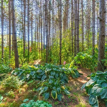 Hiking Nature & Charm Holiday home *