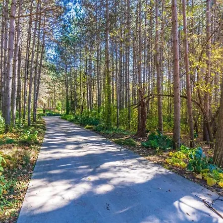 Hiking Nature & Charm Holiday home *