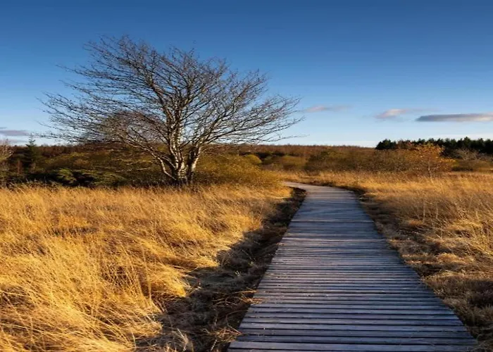 Hiking Nature & Charm Roes