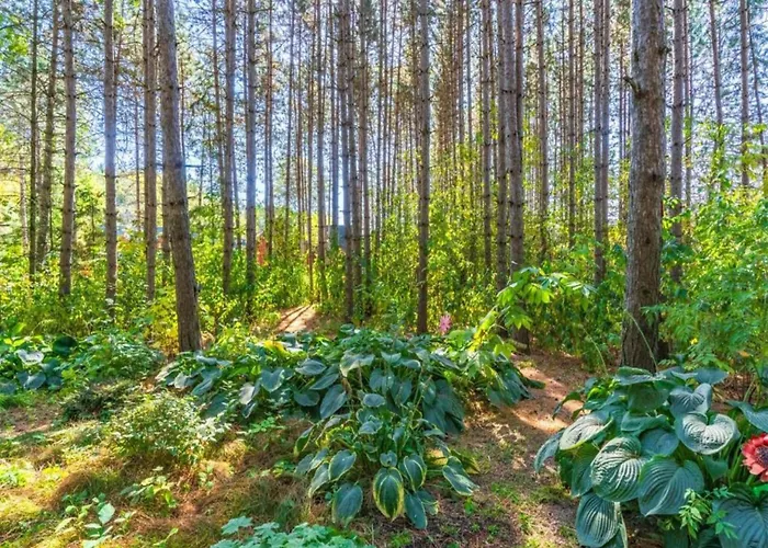 Hiking Nature & Charm Casa de Férias *